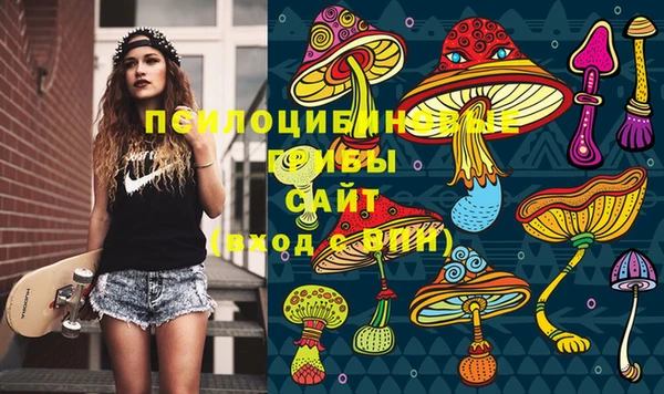 гидра Арсеньев