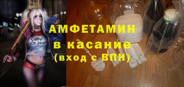 гидра Арсеньев