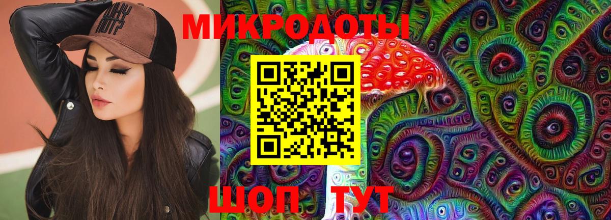 Губаха  Галлюциногенные грибы Psilocybe  Вход с VPN 