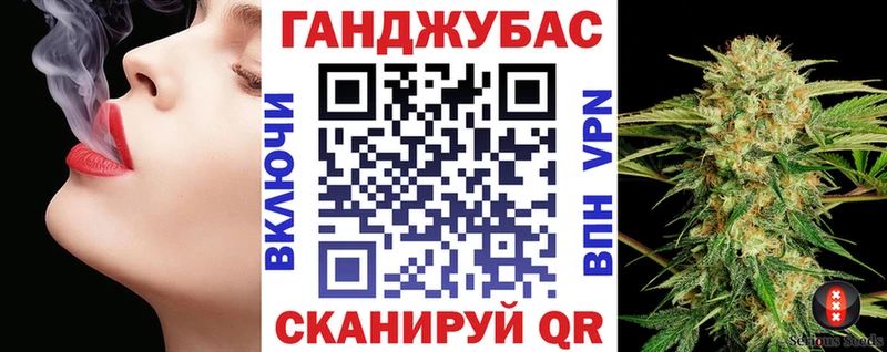 Каннабис индика Губаха