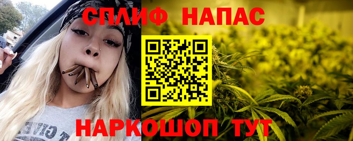 Конопля конопля  Марихуана гибрид  Бошки марихуана планчик  Вход с VPN  Губаха 